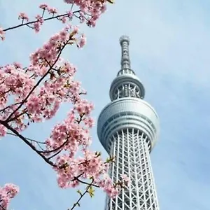 カプセルホテル 日本橋室町bay, 東京都